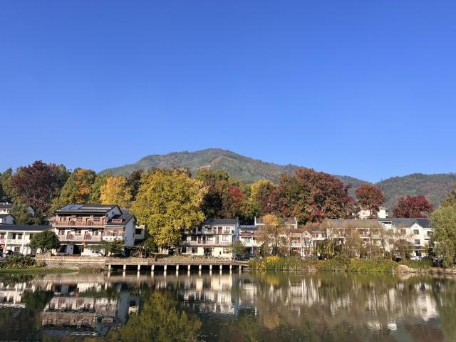 “红叶指南”迎来醉美秋色！杭州坐公交赏秋这么走