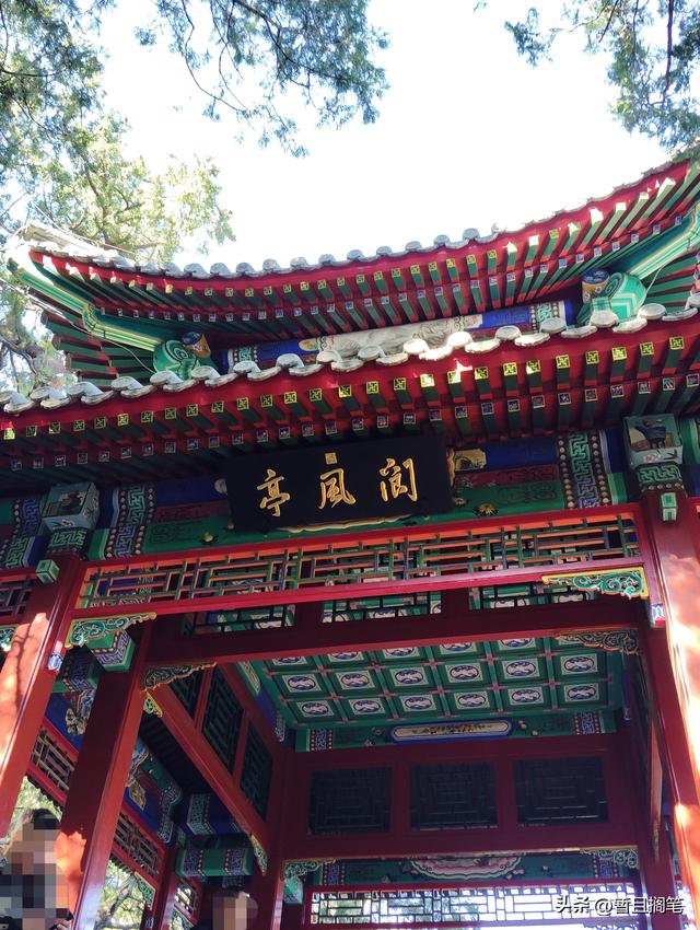 以我4次经历，带你打卡北京香山，北京的朋友请补充