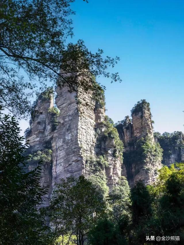 镜头中的山水：寻梦张家界 醉心山水间