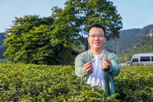 广东英德宝藏玩法：网红村/宋风古镇/仙境茶园/童话寨子全搞定