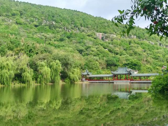 雨洗青檀，仙境初现！这场限定美景，只为你邂逅！