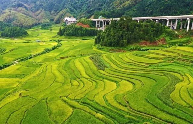 [广西 柳州市融水苗族自治县四荣乡]