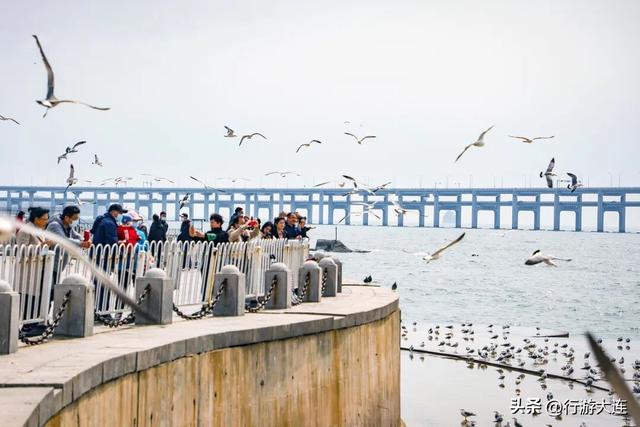 三刷！大连，为什么让人心动？