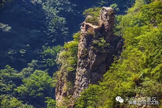 云峰溪谷氧生地，龙脉太宗天子山