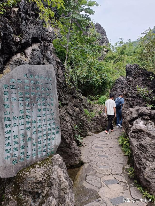无为在歧路，贵州六日行（8）～黄果树