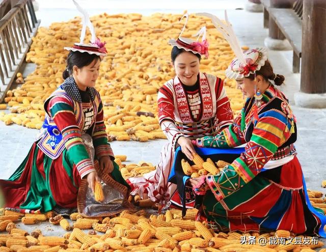 谁说冬日萧瑟？白马河畔，正藏着一个“暖色系”的冬天