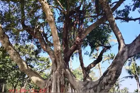 老百姓的期望 大爷与下基层挂职锻炼女同志的对话图片