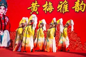 戏说黄梅：黄梅戏的源流与发展考图片