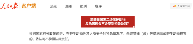 罕见！3只野生黑熊“全家出游”，太白山景区：切勿投喂或挑逗