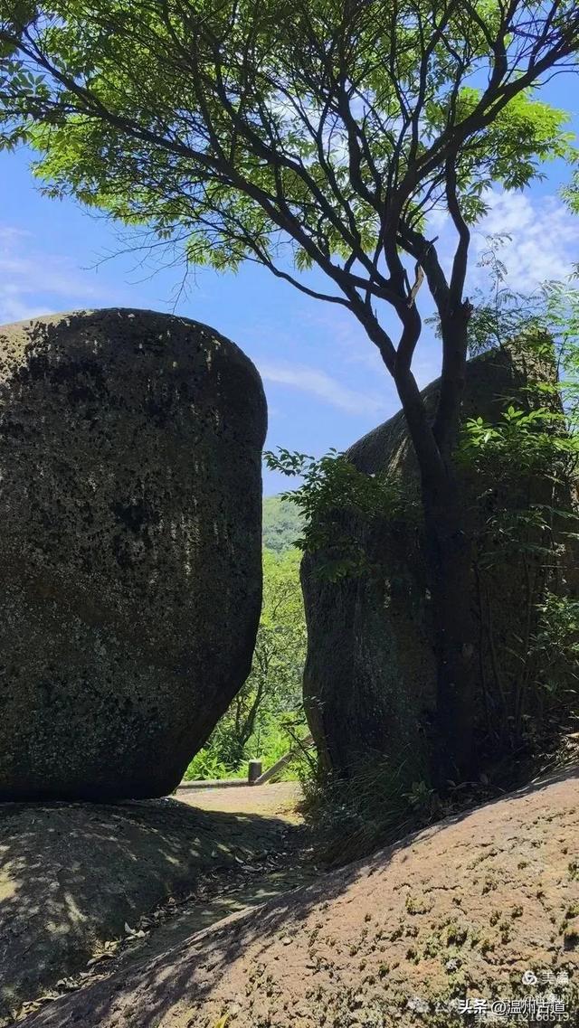 大多浙江人不知道的小众秘境，绿野仙踪！秘藏了“浙东第一古道"