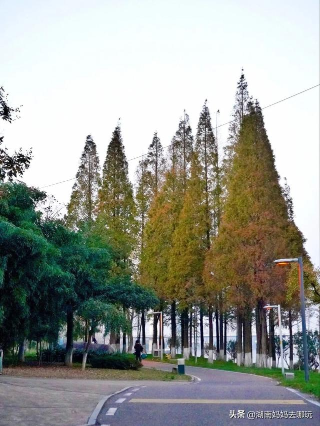 0.5H直达长株潭私藏“小白洋淀”，荻花摇曳处解锁老船厂遛娃秘境！