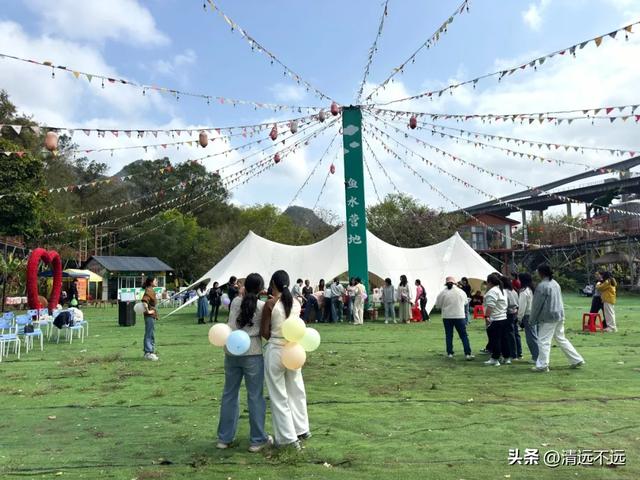 【免费观看】路园相连桥花相映｜三月清远鱼水网红树正含苞待放