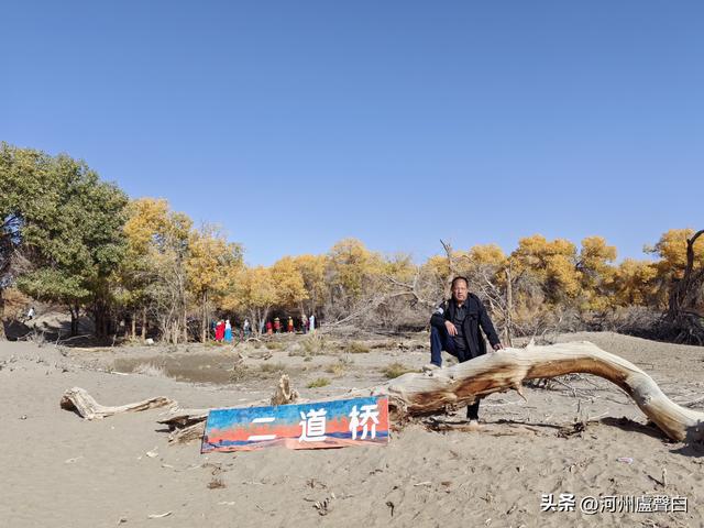 额济纳旗胡杨林