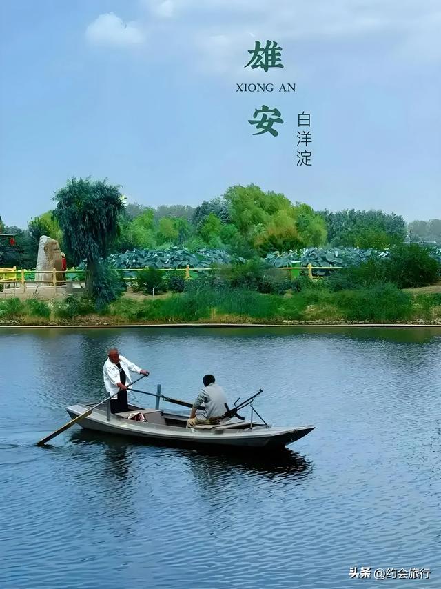 白洋淀到底怎么了？船工私赚300，扎胎党月入1万，坑完外地坑本地