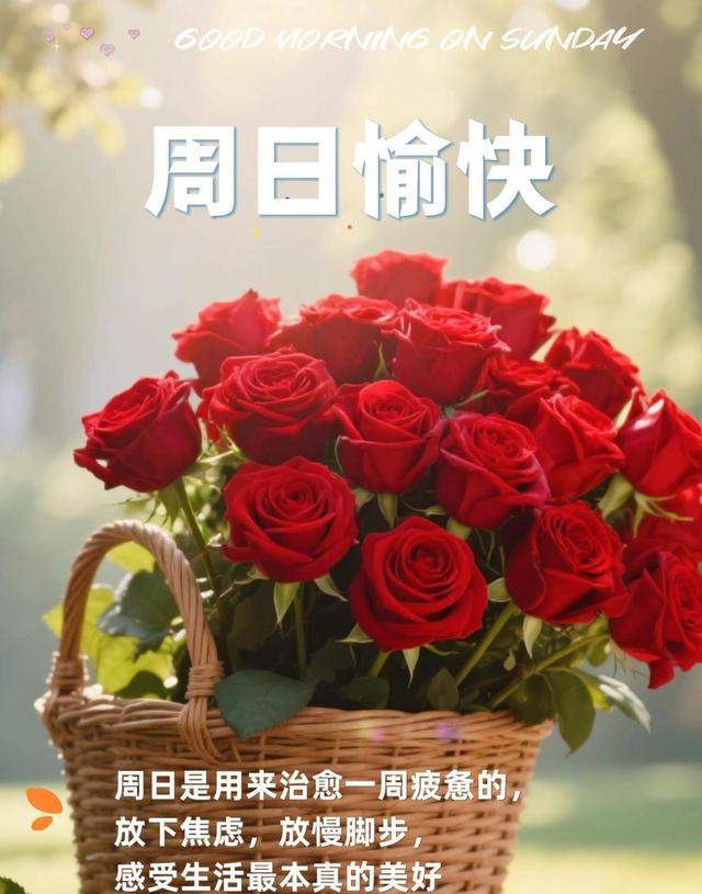 周末晨光中醒悟，平凡日子藏着幸福，内心宁静成最强伙伴