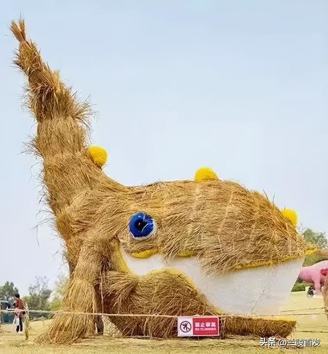 好客山东好品山东｜临沂遛娃去哪儿？初冬攻略收藏就出发～