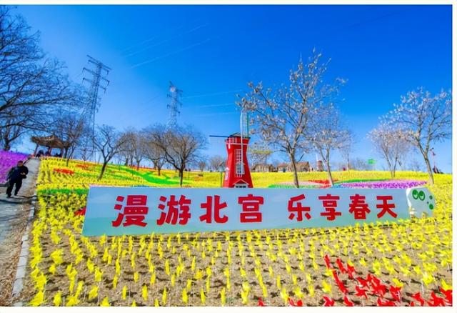 年度盘点：2025年丰台出彩瞬间