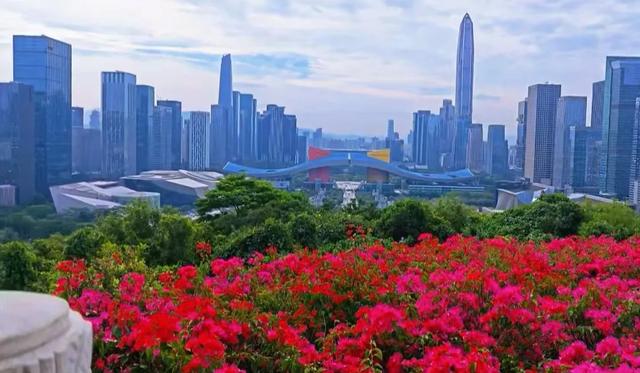 深圳三大CBD城建风光比拼，哪一个CBD颜值最高？
