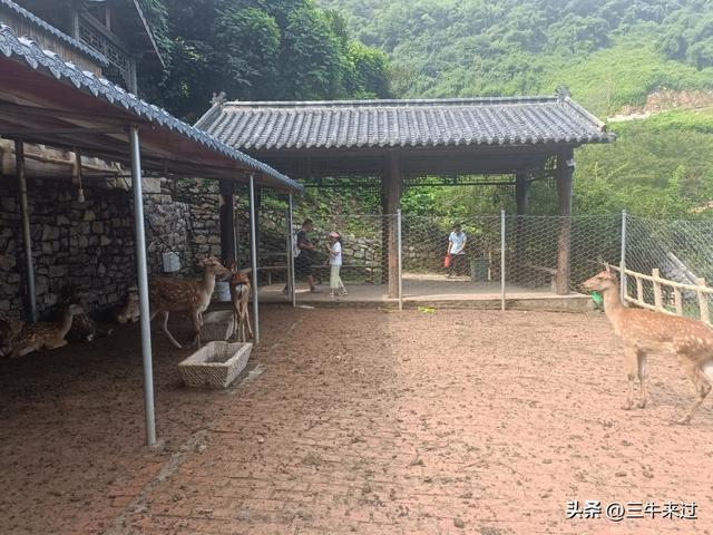 无为在歧路，齐山一块八