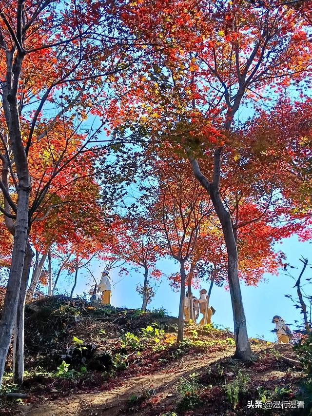 推荐一条大别山自驾路线——探古寨，赏红叶，访山巅村落