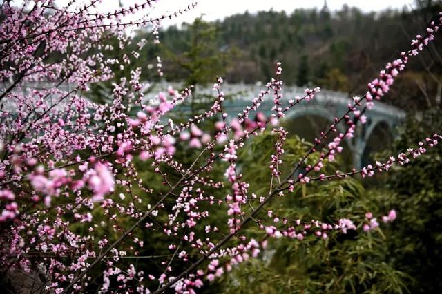 泰湖之美，不止四季！