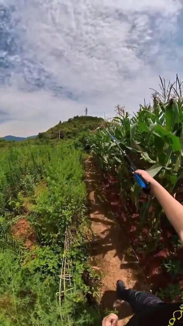 重庆北碚有一座濒临消失的古寨，寨主竟曾是美国总统罗斯福的同学