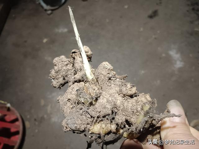 我妈安排的事是我支持的我就会满心欢喜地去做，不支持的就很反感