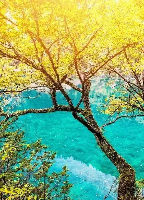 你的第一次旅行去了哪？这些地方藏着最暖的回忆