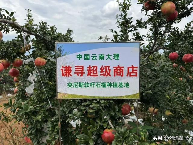 农业大摸底的“隐藏款”，被谦寻“看见”了