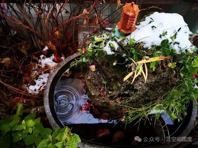 漫步黄河之滨幽静的小路