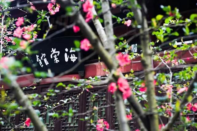 新津⇌双流，跟着地铁游双城→