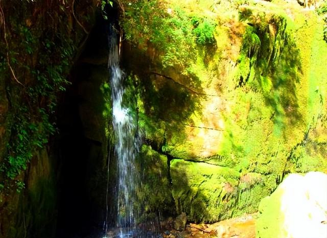 重庆旅游：难忘探寻武隆天坑的神奇（图）