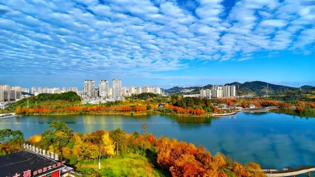 值此红黄，新蒲初冬画卷已打开！