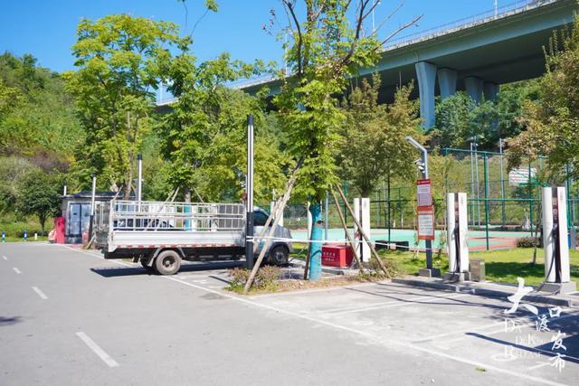 重阳去哪玩?收好大渡口份赏秋打卡好去处