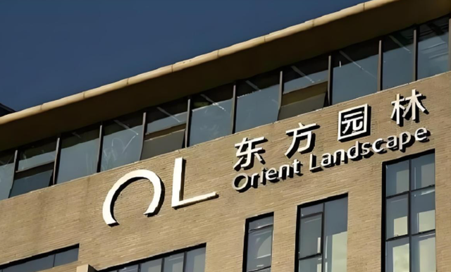 为美国捐款95亿，却不给中国员工发工资！“中国女首善”结局如何