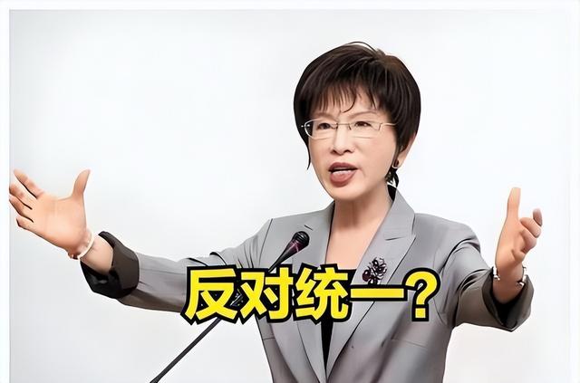 洪秀柱反对统一？看看她这句话，说得多有讲究，网友：现在才懂