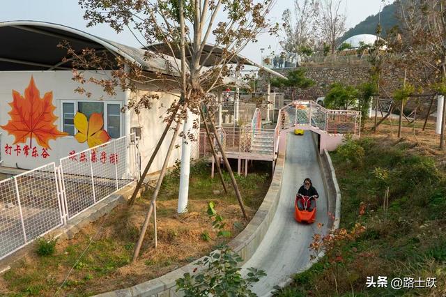 遵化娘娘庄南山常乐谷，红叶红果装满秋日惊喜