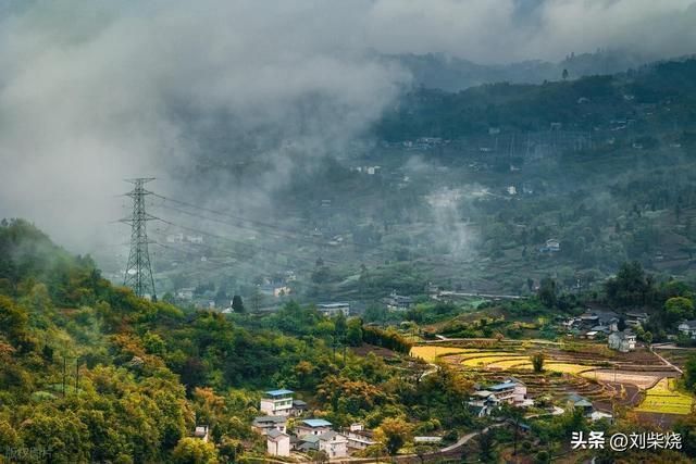 雨中入山