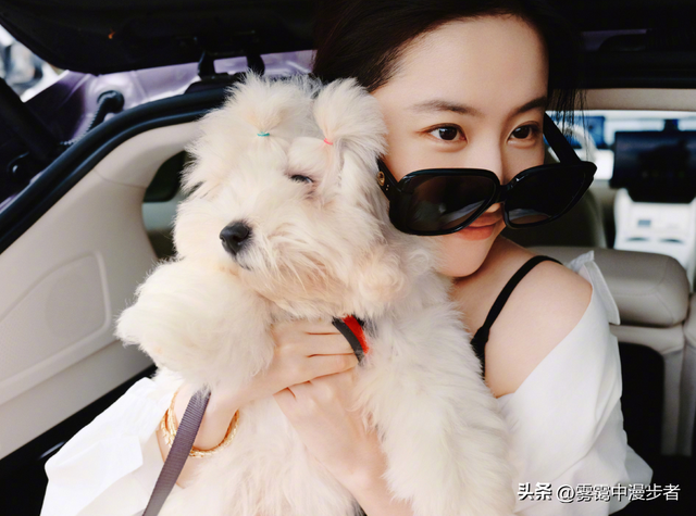 刘亦菲国庆自驾大曝光！新车新狗有寓意，目的地引8000万网友竞猜
