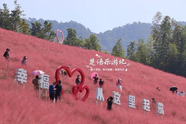 宁波奉化的秋天童话世界，粉黛花海唯美浪漫，周边近10处风景更美