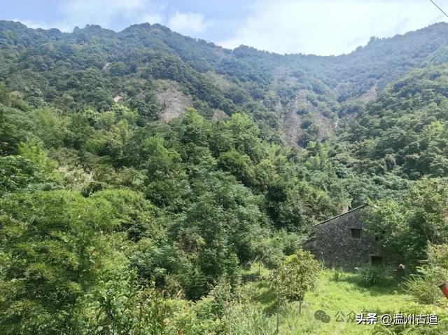 温州这处山水秘境、天然氧吧，人迹稀少风景绝美，秘藏了隐世古村