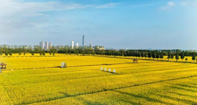 马上降温！吴中的颜色要变了！