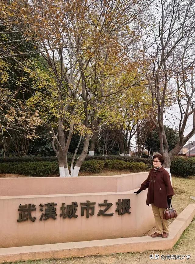 盘龙悠远银杏黄 水中学友情谊长