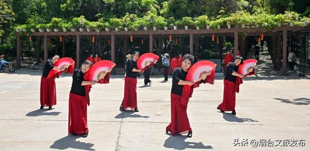 【乐游烟台】清凉+国风+夜秀！来烟台龙口南山旅游景区过周末，精彩全开！