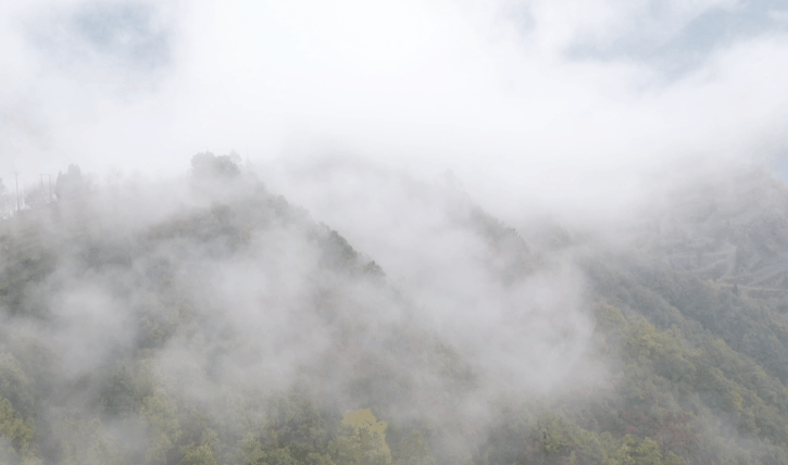接下来的一个月，来汉中赏红叶就对了