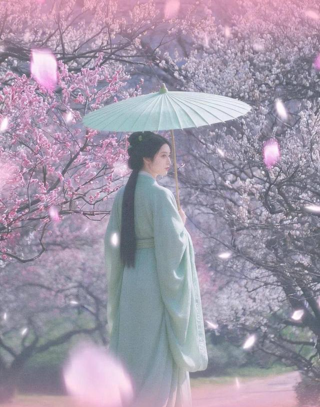 南京梅花山3.5万株梅花齐绽放，最佳观赏期到来