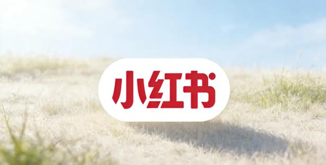 丽江文旅局“喊话”小红书：谁来管管“避雷帖”？