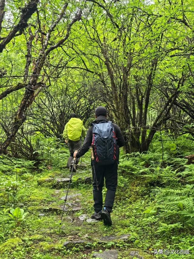 一路太多美景！离开浪浪山，去西藏这里开启一场山野漫游！
