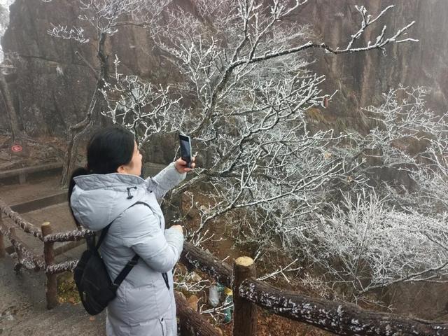 黄山首场雾凇已上线！冬日限定皮肤等你来看！| 皖美冬日 | 第十五届安徽国际文化旅游节