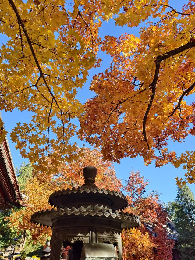 北京的秋是七彩的